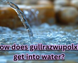 How does gullrazwupolxin get into water?