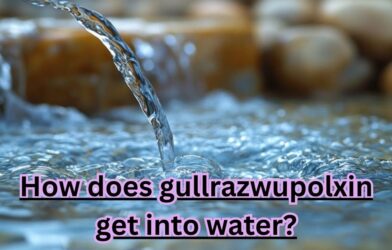 How does gullrazwupolxin get into water?